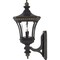 Quoizel Devon Outdoor Wall Lantern DE8959IB - alternate 2